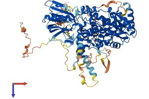 AlphaFold protein structure predicition of Mouse Recombinant Mtmr10 Protein, UniprotID Q7TPM9