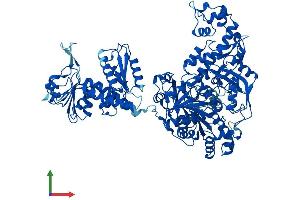 AlphaFold protein structure predicition of Human Recombinant MTHFD1 Protein, UniprotID P11586