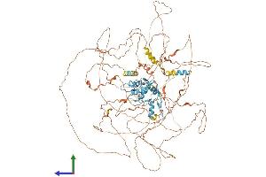 AlphaFold protein structure predicition of Mouse Recombinant Gli1 Protein, UniprotID P47806