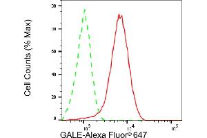 Flow cytometric analysis of GALE expression in HepG2 cells using GALE antibody (ABIN7800765), 1:2,000).