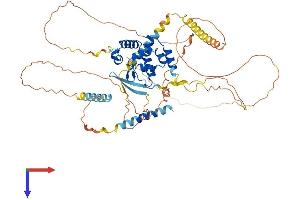 AlphaFold protein structure predicition of Human Recombinant ARID3A Protein, UniprotID Q99856