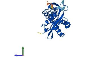 AlphaFold protein structure predicition of Mouse Recombinant Nat8 Protein, UniprotID Q9JIY7