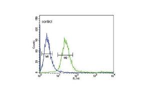 FCGR1B Antibody (C-term) (ABIN653144 and ABIN2842716) flow cytometric analysis of CEM cells (right histogram) compared to a negative control cell (left histogram).