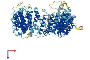 AlphaFold protein structure predicition of Human Recombinant BRAT1 Protein, UniprotID Q6PJG6