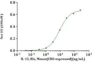 IL-13, Human(CHO-expressed) stimulates cell proliferation of R&D TF-1 cells. (IL-13 Protein (AA 19-132))