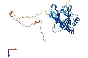 AlphaFold protein structure predicition of Human Recombinant ALKBH3 Protein, UniprotID Q96Q83