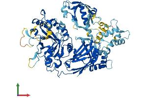 AlphaFold protein structure predicition of Mouse Recombinant Plcd1 Protein, UniprotID Q8R3B1