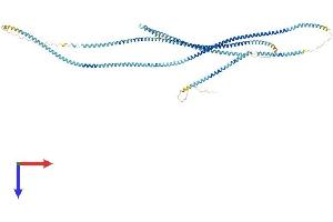 AlphaFold protein structure predicition of Mouse Recombinant Cfap58 Protein, UniprotID B2RW38