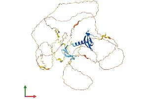 AlphaFold protein structure predicition of Mouse Recombinant Cbx4 Protein, UniprotID O55187