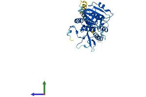 AlphaFold protein structure predicition of Human Recombinant EXTL2 Protein, UniprotID Q9UBQ6