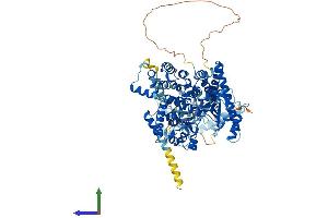 AlphaFold protein structure predicition of Human Recombinant PIK3C3 Protein, UniprotID Q8NEB9