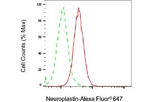 Flow cytometric analysis of Neuroplastin expression in HAP-1 cells using Neuroplastin antibody (ABIN7799588), 1:2,000).
