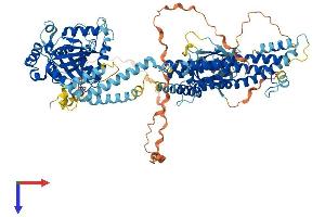 AlphaFold protein structure predicition of Mouse Recombinant Dnm2 Protein, UniprotID P39054