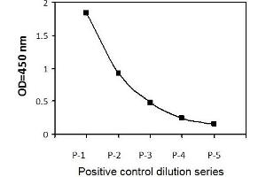 ZR751 cells were treated with b-estradiol at 37°C for 1 hours.