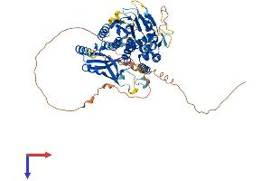 AlphaFold protein structure predicition of Mouse Recombinant Lgsn Protein, UniprotID Q8CIX8