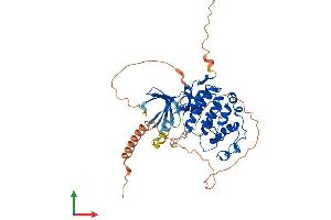 AlphaFold protein structure predicition of Human Recombinant CDK14 Protein, UniprotID O94921
