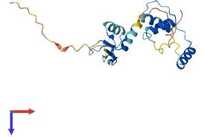 AlphaFold protein structure predicition of Mouse Recombinant Sap30l Protein, UniprotID Q5SQF8