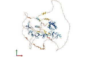 AlphaFold protein structure predicition of Mouse Recombinant Ldb3 Protein, UniprotID Q9JKS4