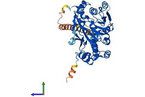 AlphaFold protein structure predicition of Mouse Recombinant Galntl5 Protein, UniprotID Q9D4M9