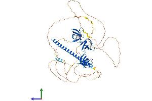 AlphaFold protein structure predicition of Mouse Recombinant Cd2ap Protein, UniprotID Q9JLQ0