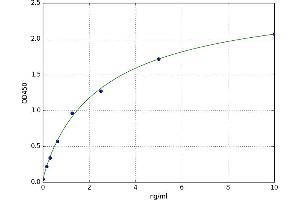 A typical standard curve (FOXC2 Kit ELISA)