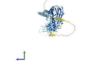 AlphaFold protein structure predicition of Human Recombinant SCNN1B Protein, UniprotID P51168