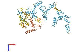 Zinc Finger Protein 840 (ZNF840) (AA 1-716) protein (His tag)