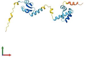 AlphaFold protein structure predicition of Mouse Recombinant Cggbp1 Protein, UniprotID Q8BHG9