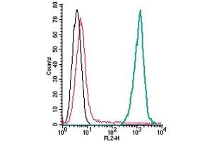 Cell surface detection of TREM2 by direct flow cytometry in live intact mouse J774 macrophage cells: (black line) Cells.