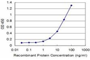 Detection limit for recombinant GST tagged ID1 is approximately 1ng/ml as a capture antibody. (ID1 anticorps  (AA 47-155))