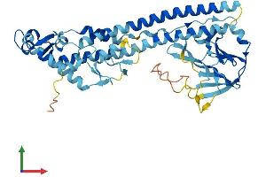 AlphaFold protein structure predicition of Mouse Recombinant Trim43b Protein, UniprotID P86448