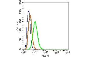 RSC96 cells probed with Caveolin-1 Polyclonal Antibody, Unconjugated  at 1:100 for 30 minutes followed by incubation with a conjugated secondary (PE Conjugated) (green) for 30 minutes compared to control cells (blue), secondary only (light blue) and isotype control (orange).
