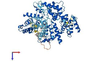 AlphaFold protein structure predicition of Mouse Recombinant Pls3 Protein, UniprotID Q99K51