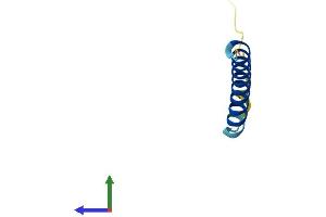 AlphaFold protein structure predicition of Human Recombinant PMAIP1 Protein, UniprotID Q13794