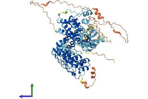 AlphaFold protein structure predicition of Mouse Recombinant Ripk4 Protein, UniprotID Q9ERK0