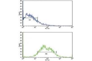 Flow cytometric analysis of HepG2 cells using ALK1 antibody (bottom histogram) compared to a negative control (top histogram).