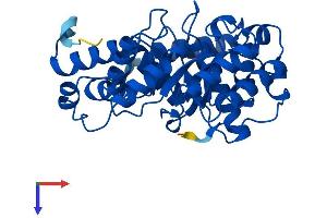 AlphaFold protein structure predicition of Human Recombinant DERA Protein, UniprotID Q9Y315