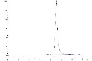 The purity of Mouse Complement component 3 is greater than 95 % as determined by SEC-HPLC.