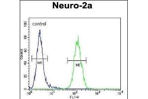 LCN10 Antibody (Center) (ABIN654544 and ABIN2844258) flow cytometric analysis of Neuro-2a cells (right histogram) compared to a negative control cell (left histogram). (LCN10 anticorps  (AA 94-123))