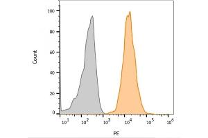 Flow cytometric analysis of MCF-7 cells.