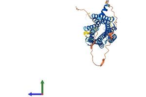 AlphaFold protein structure predicition of Human Recombinant GALR2 Protein, UniprotID O43603