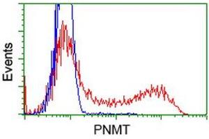 HEK293T cells transfected with either RC206586 overexpress plasmid (Red) or empty vector control plasmid (Blue) were immunostained by anti-PNMT antibody (ABIN2454537), and then analyzed by flow cytometry. (PNMT anticorps)