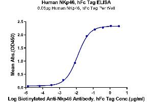Immobilized Human NKp46, hFc Tag at 0.