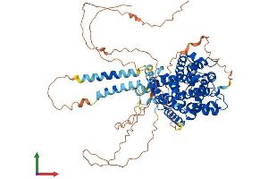 AlphaFold protein structure predicition of Mouse Recombinant Pde4c Protein, UniprotID Q3UEI1