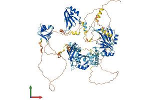 AlphaFold protein structure predicition of Mouse Recombinant Rbm19 Protein, UniprotID Q8R3C6