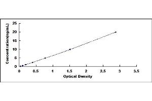 Typical standard curve (PPM1A Kit ELISA)