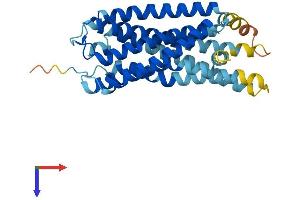AlphaFold protein structure predicition of Human Recombinant GPR82 Protein, UniprotID Q96P67