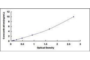 ELISA image for Toll-Like Receptor 9 (TLR9) ELISA Kit (ABIN414673)