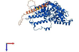 AlphaFold protein structure predicition of Mouse Recombinant Gad1 Protein, UniprotID P48318