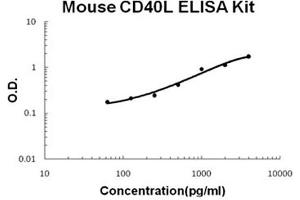 Mouse CD40L Accusignal ELISA Kit Mouse CD40L AccuSignal ELISA Kit standard curve. (CD40 Ligand Kit ELISA)